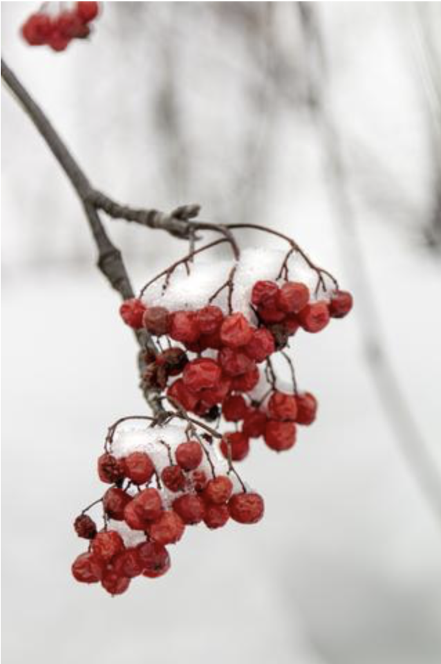 Valentines Day Gifts for Her