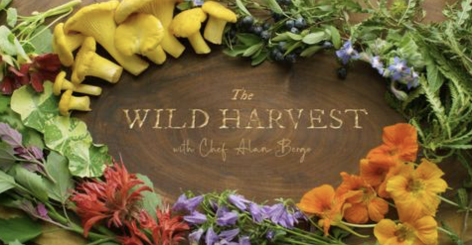 Swapped Stories: Alan Bergo – The Forager Chef