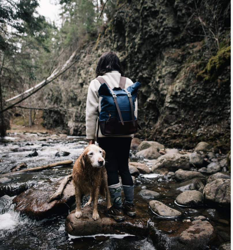 Made in the USA Dog Gear – For Your Loyal Companion