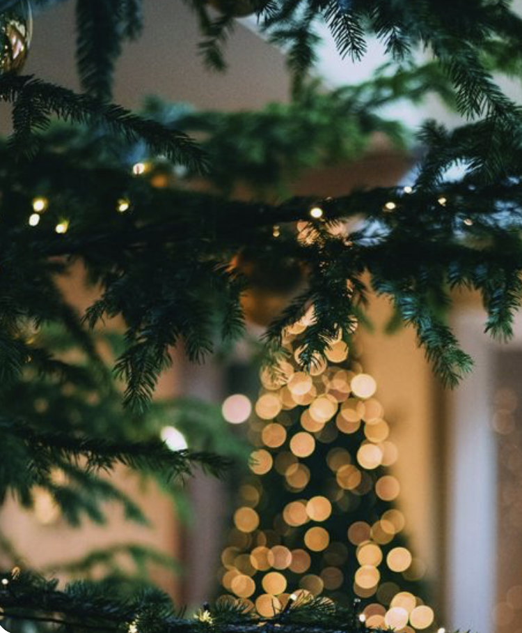 Hosting for the Holidays – During a Pandemic