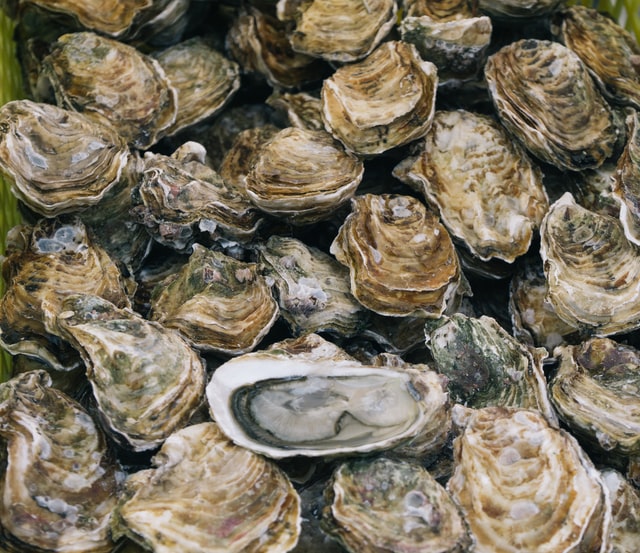 How To Properly Shuck Your Own Oysters