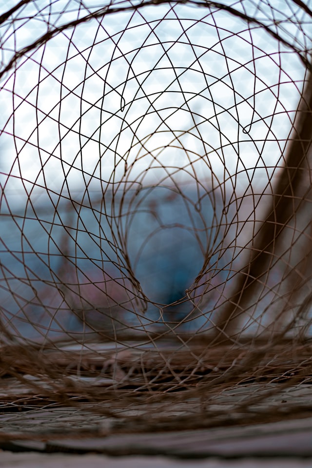 The Art of Snare Traps