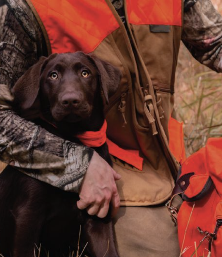 Grouse Hunting for Beginners