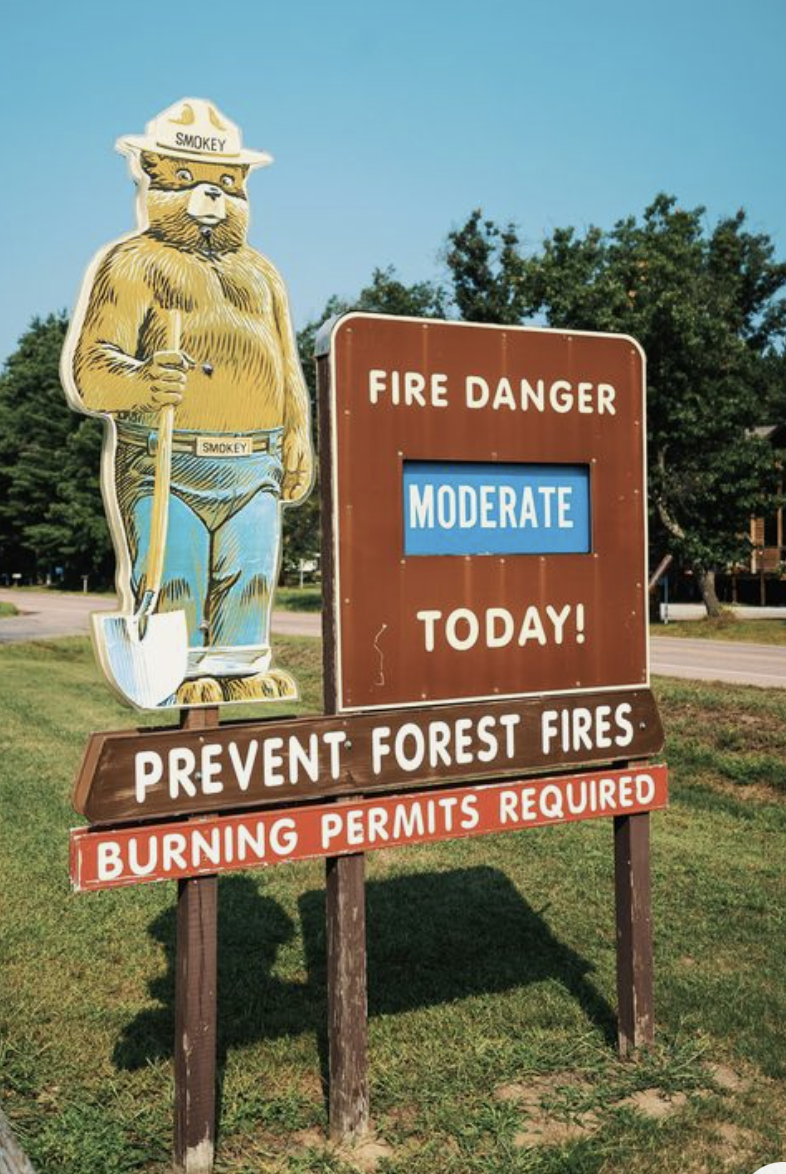 The History of Smokey The Bear