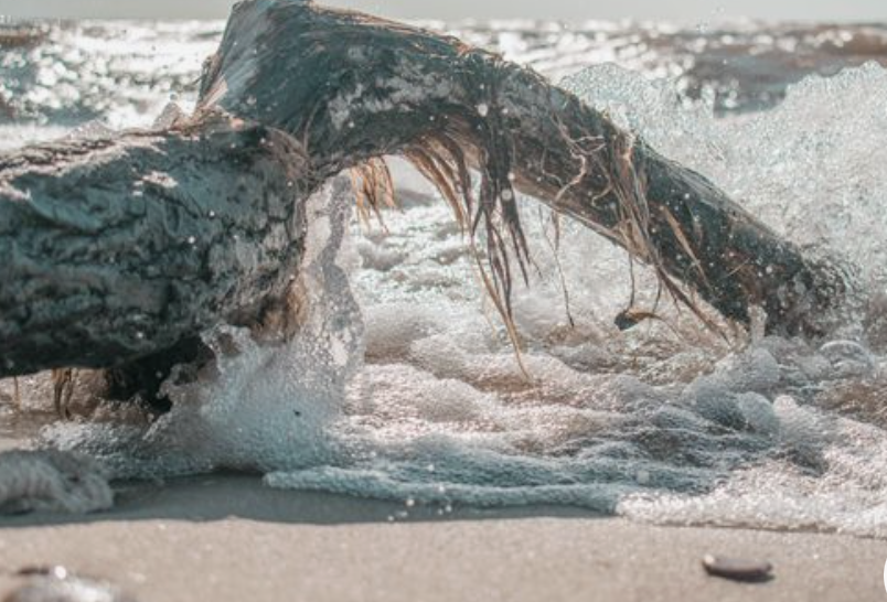 The Process of Agate Hunting