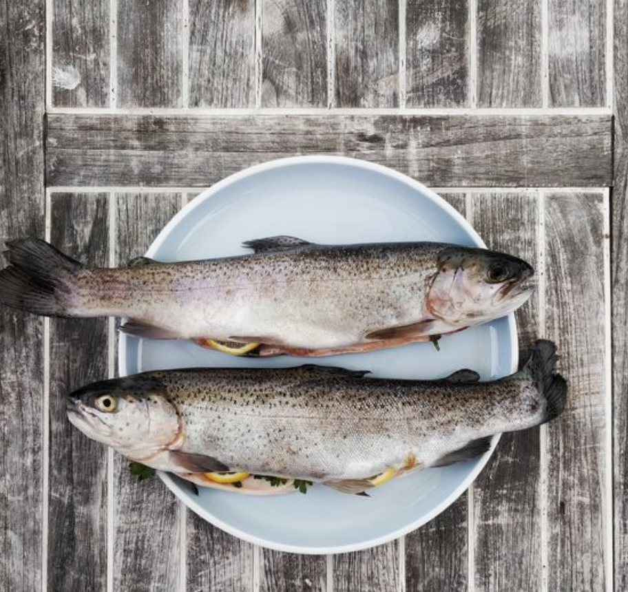 Dad’s Day Gift Series: For the Fisherman