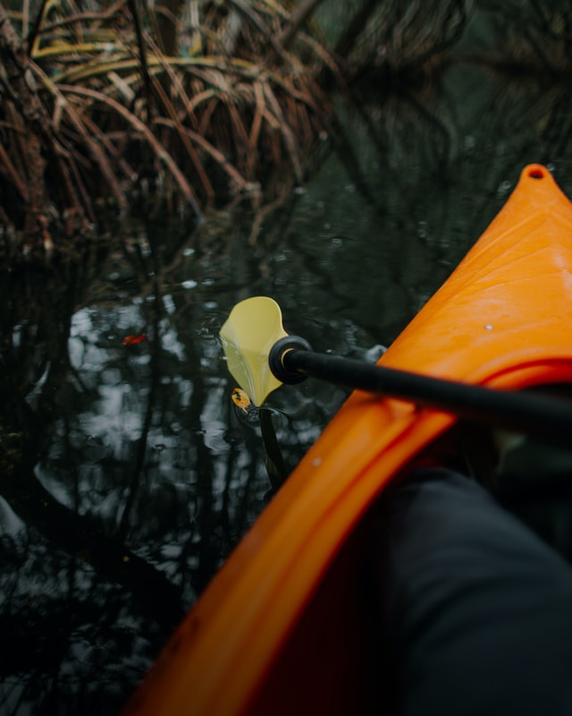 Choosing your Canoe Paddles: The Different Styles and Types of Canoe Paddles