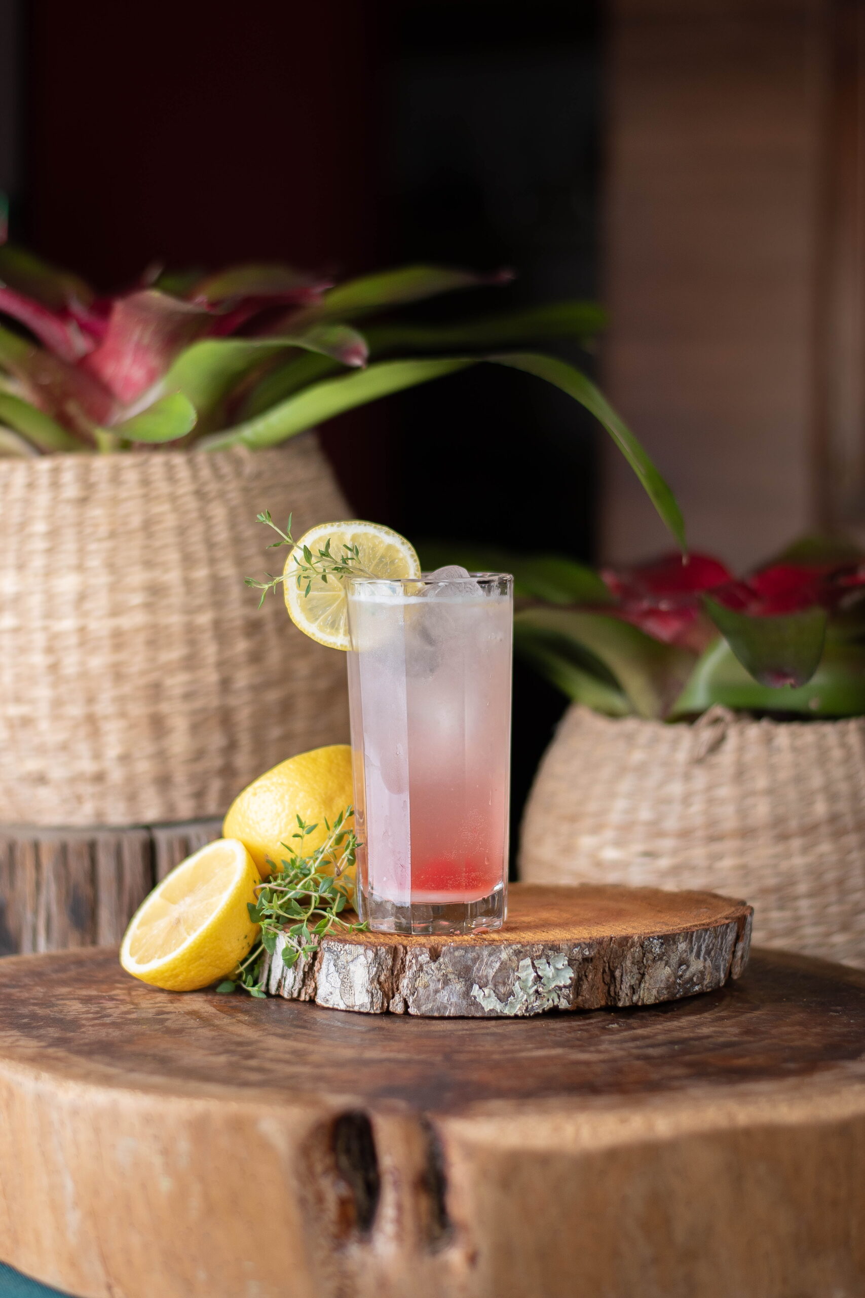Good Eats: Top-Rated Flavorful Summer Gin Cocktail Recipes
