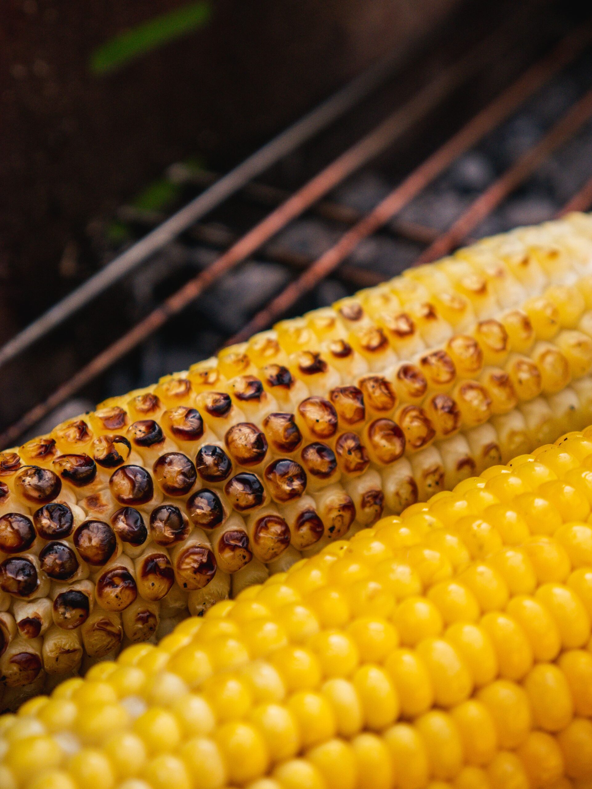 Good Eats: Best Fried Corn on the Cob Recipes
