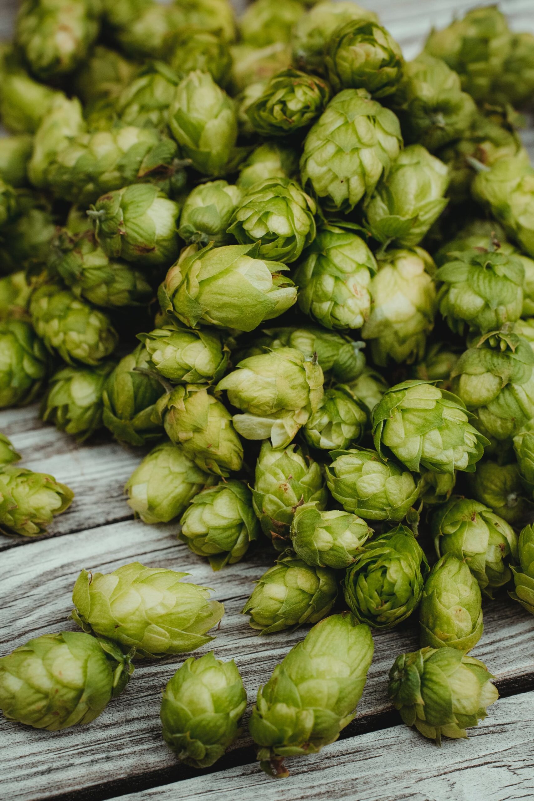 Great Recipes For Cooking with Hops