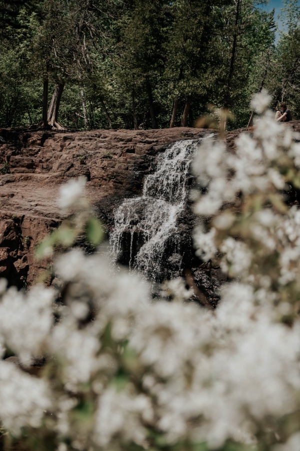 Discover the Serene Wilderness: Top 5 Camping Destinations in Northern Minnesota Chosen By AI
