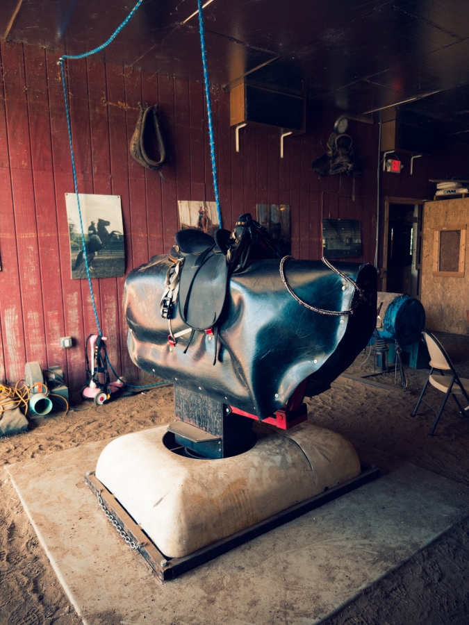 The Thrilling Saga: A Journey through the History and Sport of Professional Bull Riding