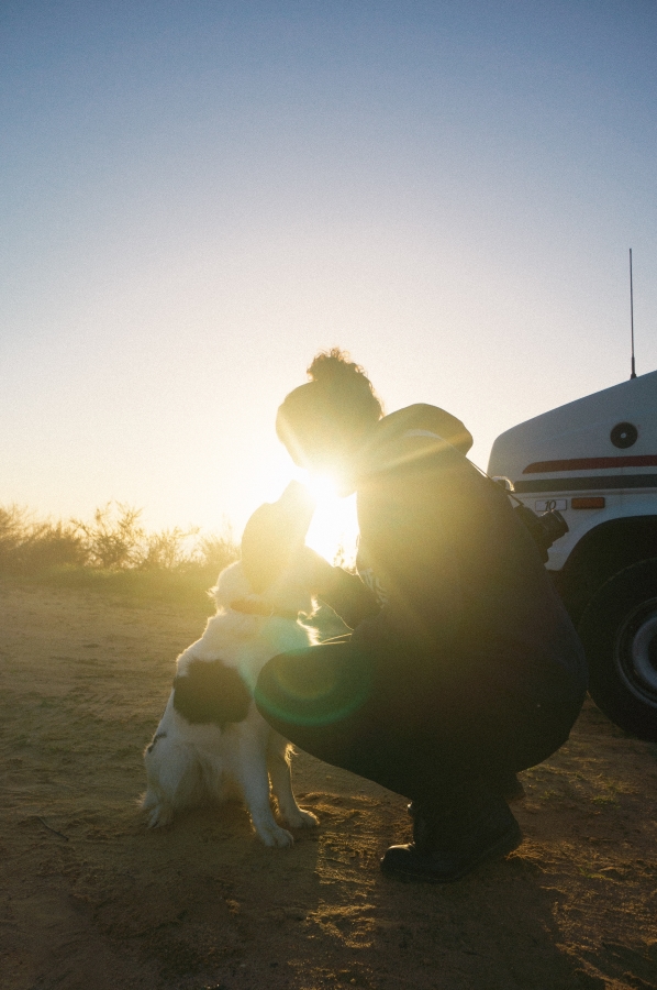 Embarking on Adventures: Tips for Safe and Joyful Road Trips with Your Canine Companion
