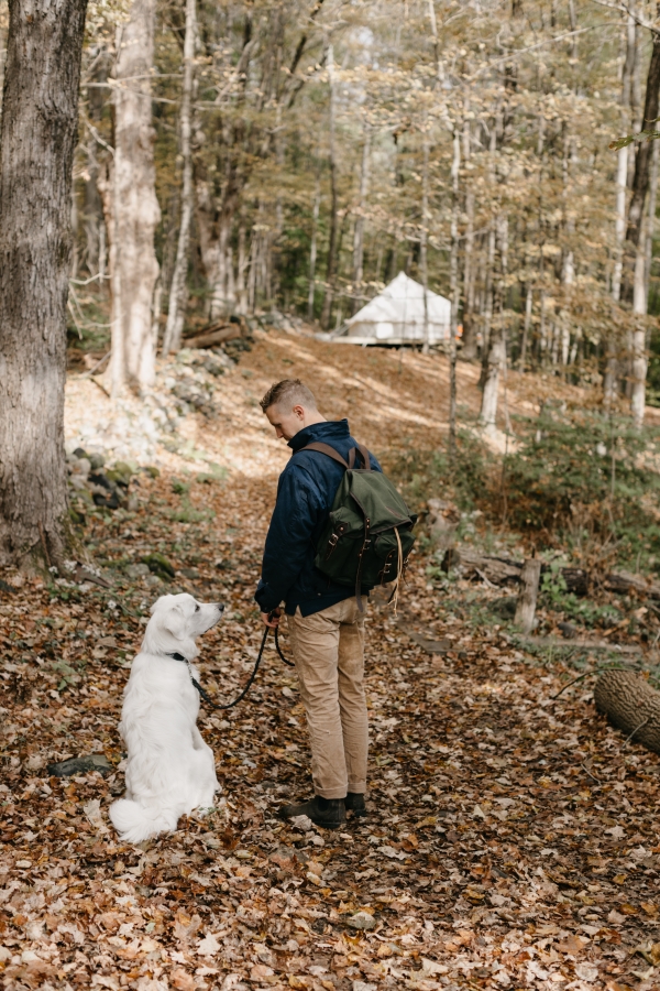 Why Investing in Quality Gear for Your Dog Matters