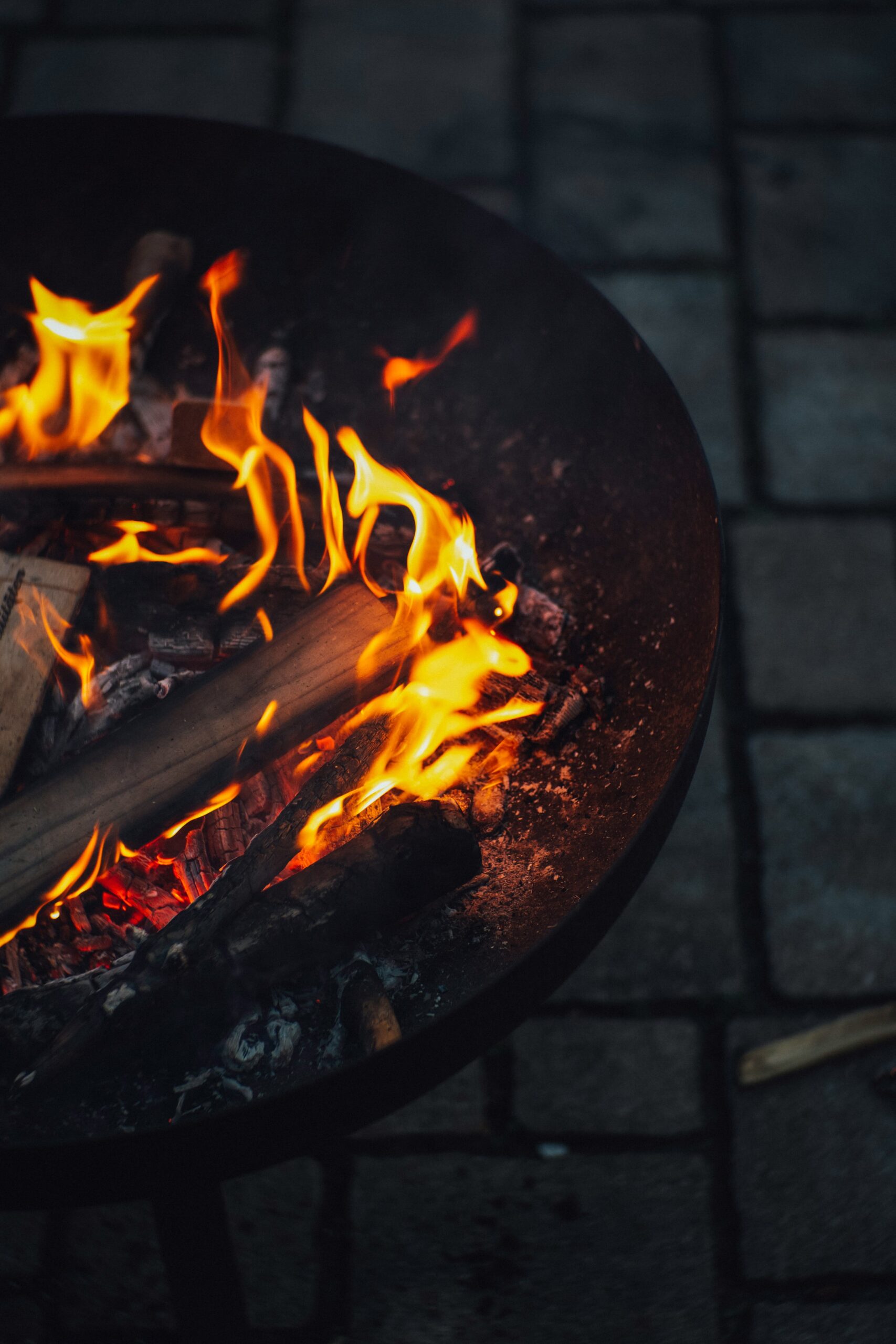 The Ultimate Guide to the Best Campfire Meals