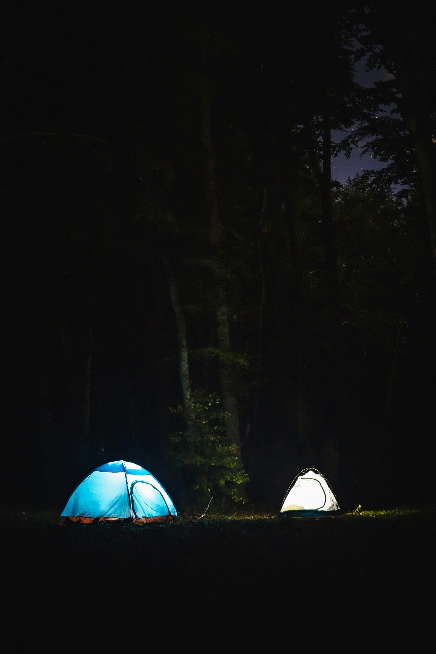 Essential Tent Camping Must-Haves for a Memorable Outdoor Adventure