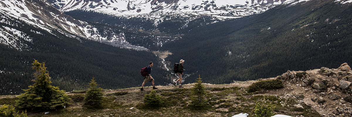 Gifts For Grad Image