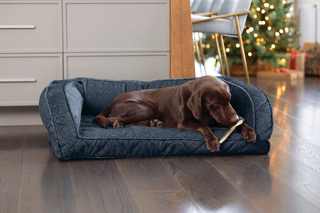 orvis bolster dog bed