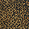 Leopard Print